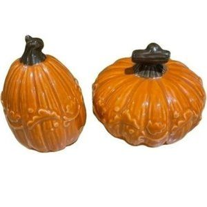 Autumn Pumpkin Ceramic Salt and Pepper Shakers Kitchen Fall‎ Decor